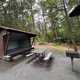 Review photo of Fort Dummer State Park Campground by Dwight F., August 9, 2026