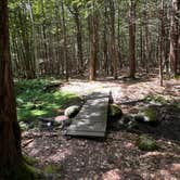 Review photo of Fort Dummer State Park Campground by Dwight F., August 9, 2026