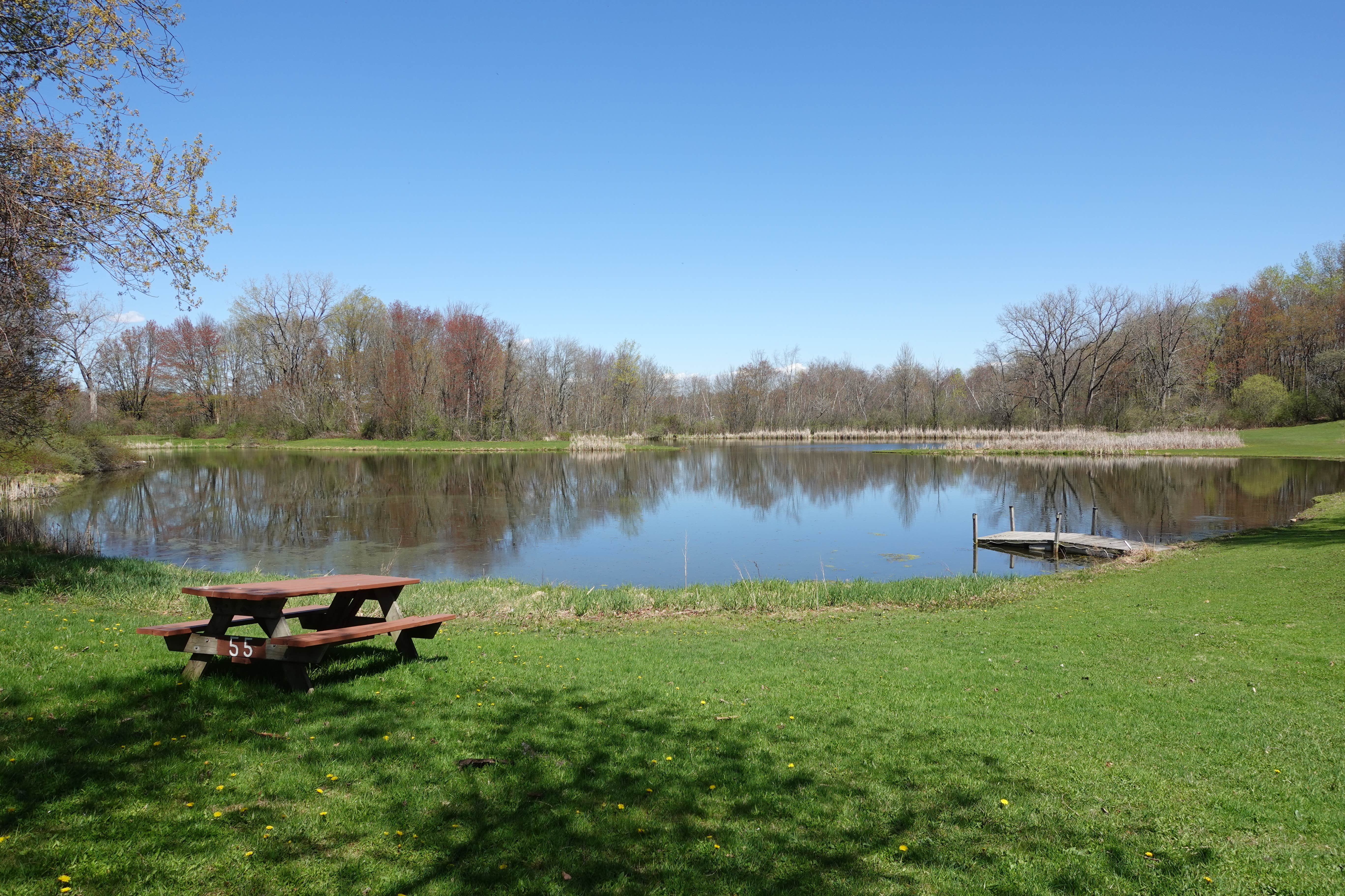 Camper-submitted photo at Heritage Acres RV Park & Campground near Rexford, NY