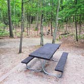Review photo of Platte River State Forest by Robert M., August 12, 2026