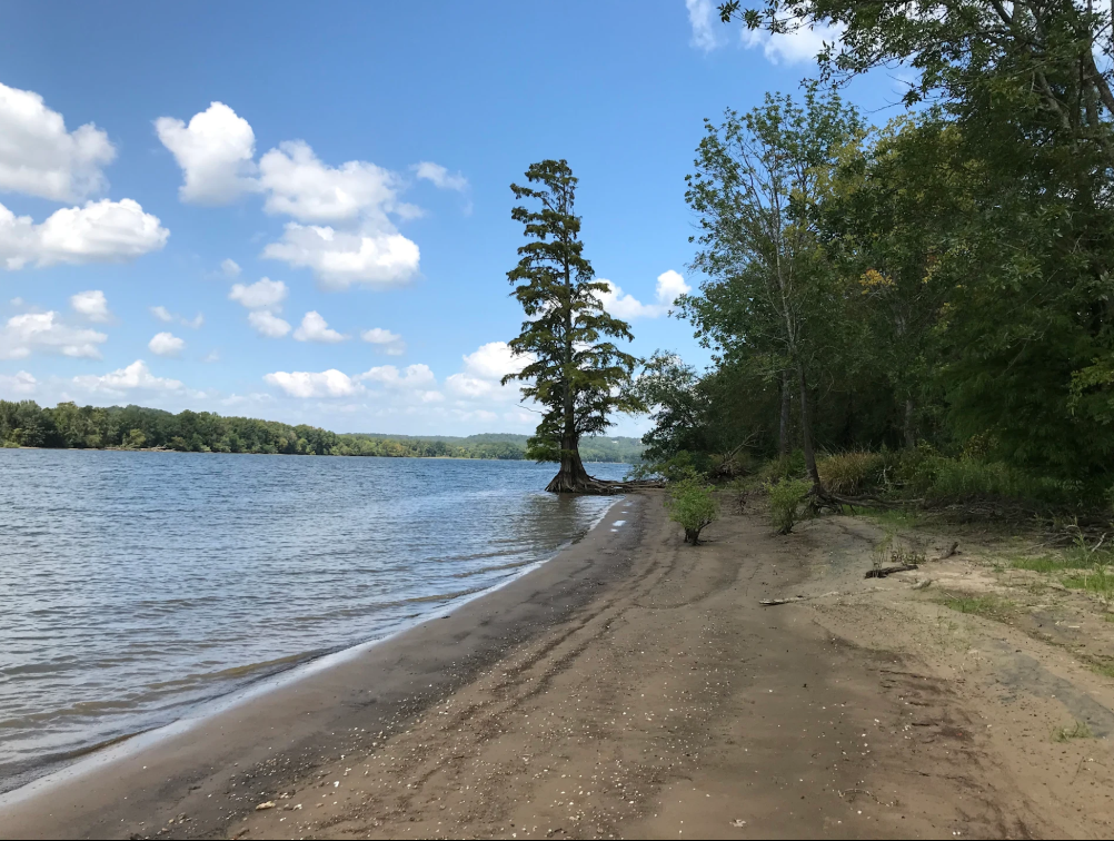 Camper-submitted photo at Blue Heron Landing near Holladay, TN