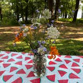 Review photo of Rend Lake by Kimberly L., August 15, 2026