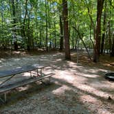 Review photo of Holly Point — Falls Lake State Recreation Area by Maria Mercedes M., August 15, 2026