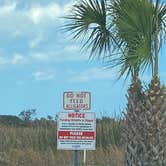 Review photo of Savannas Recreational Park by Maria Mercedes M., August 15, 2026