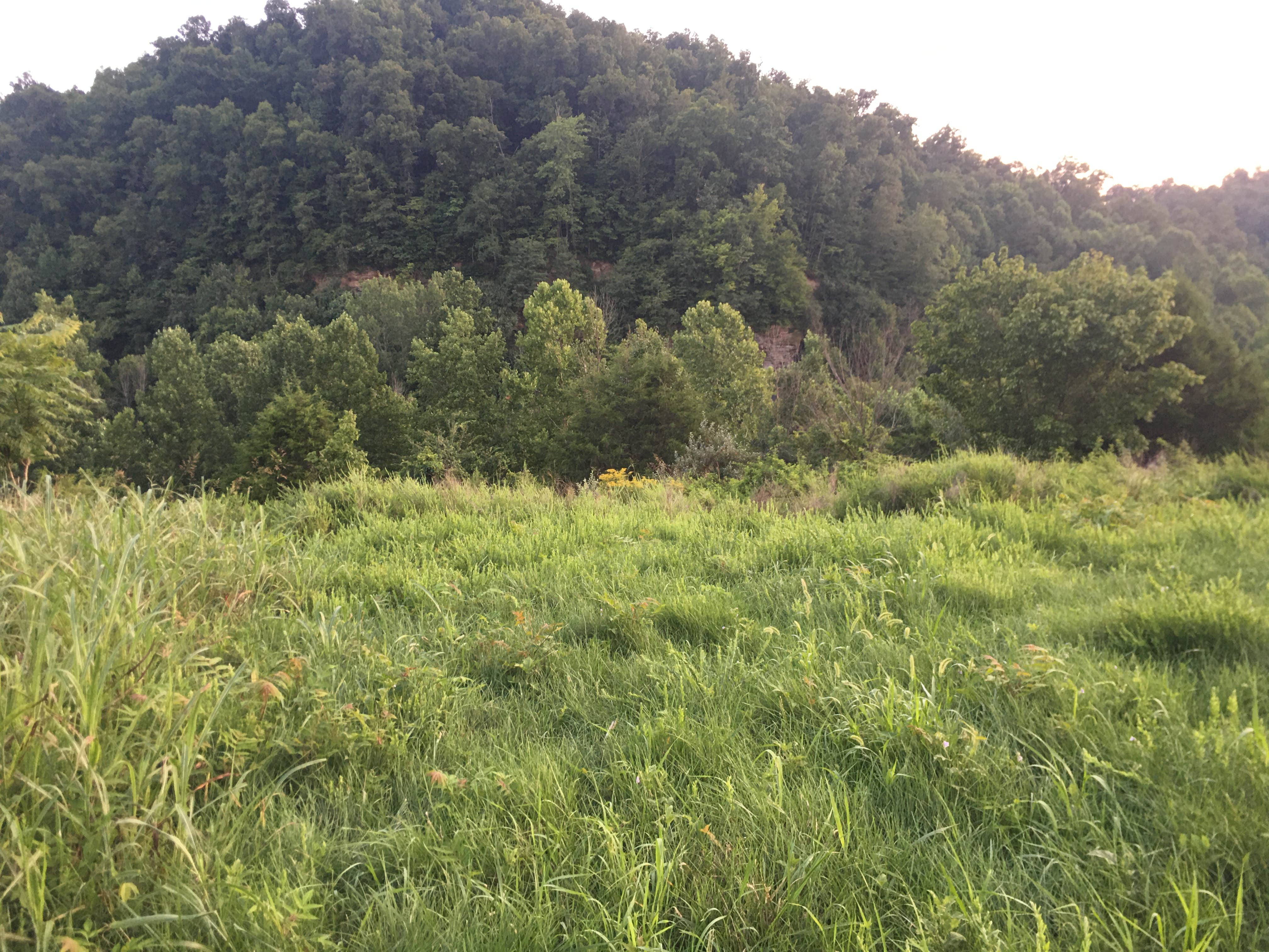 Camping near Trace Branch - Buckhorn Lake: Rock Mountain Ranch, Manchester, Kentucky