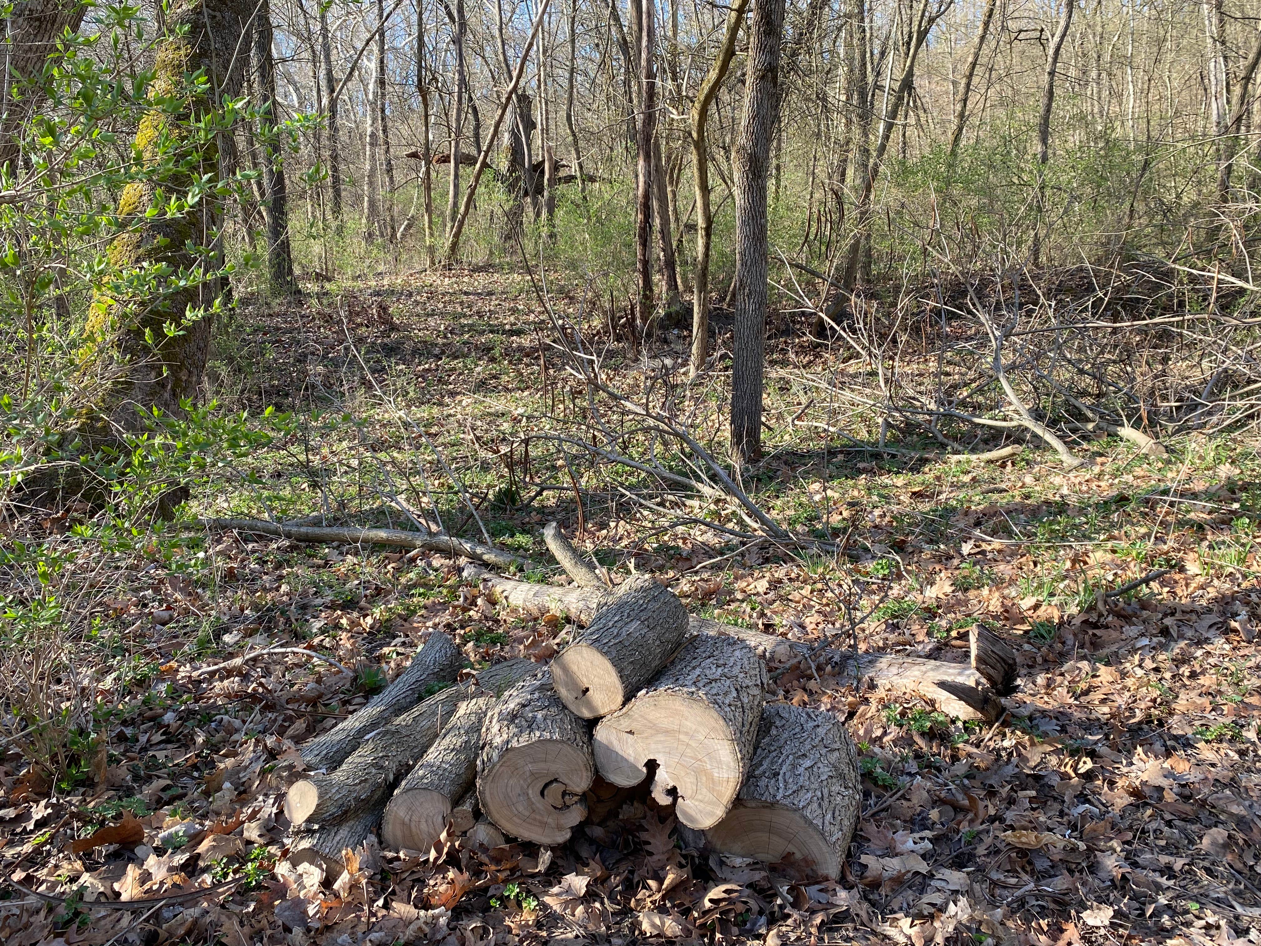 Camper-submitted photo at Creekside Campground near Normal, IL