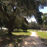 Review photo of Starved Rock Campground — Starved Rock State Park by Tetia C., September 26, 2016