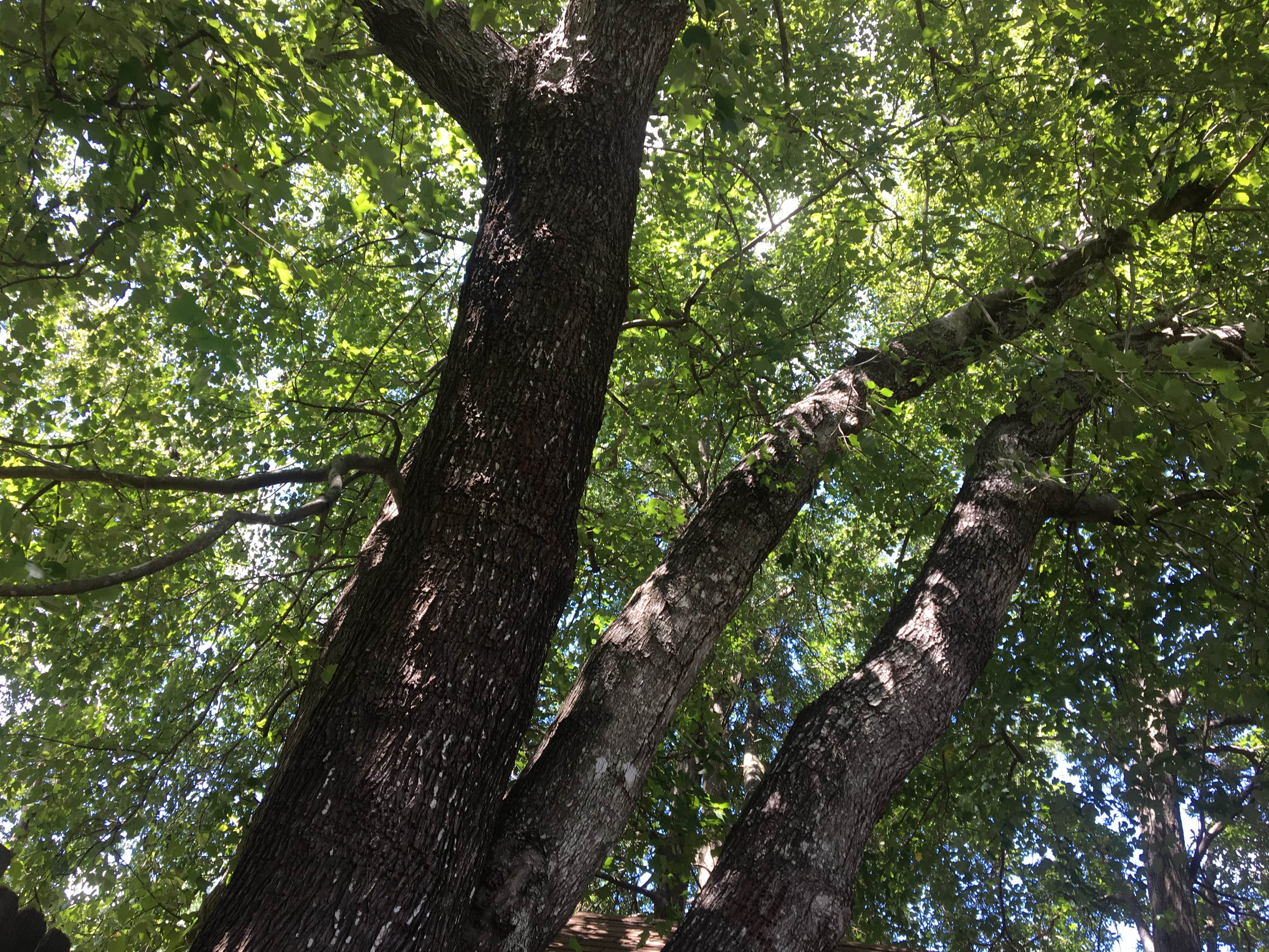 Camper-submitted photo at Blackwell Family Campground near Romeoville, IL