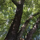 Review photo of Blackwell Family Campground by Tetia C., September 26, 2016