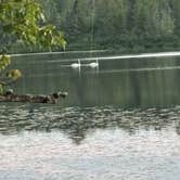 Review photo of Bob Lake Campground by Joe C., August 19, 2026