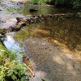 Review photo of Sarah's Creek Campground — Chattahoochee Oconee National Forest by Richard A., August 20, 2026