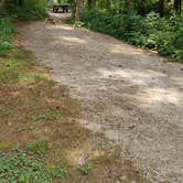 Review photo of Sarah's Creek Campground — Chattahoochee Oconee National Forest by Richard A., August 20, 2026