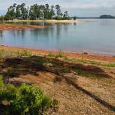 Review photo of Ridge Road Campground at J Strom Thurmond Lake by Richard A., August 20, 2026