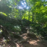 Review photo of Petit Jean State Park — Petit Jean State Park by Melinda E., August 20, 2026