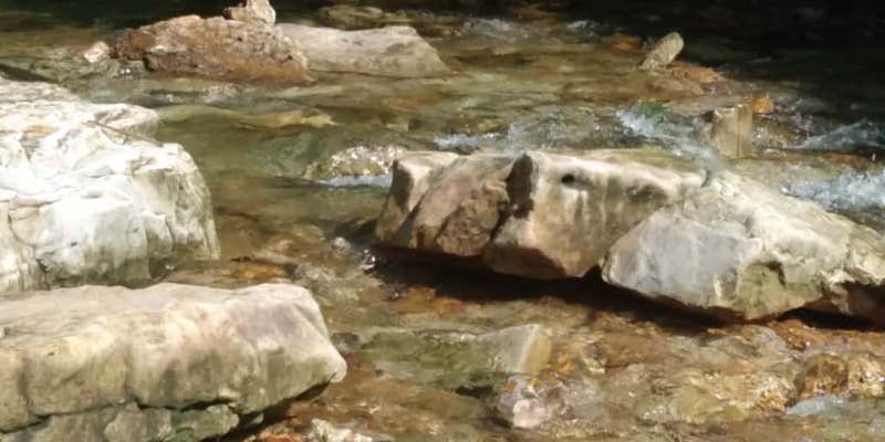 Camper submitted image from Headwaters RV Park and Campground