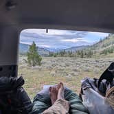 Review photo of Dispersed camping along Cliff Creek in Bridger-Teton National Forest by James K., August 22, 2026