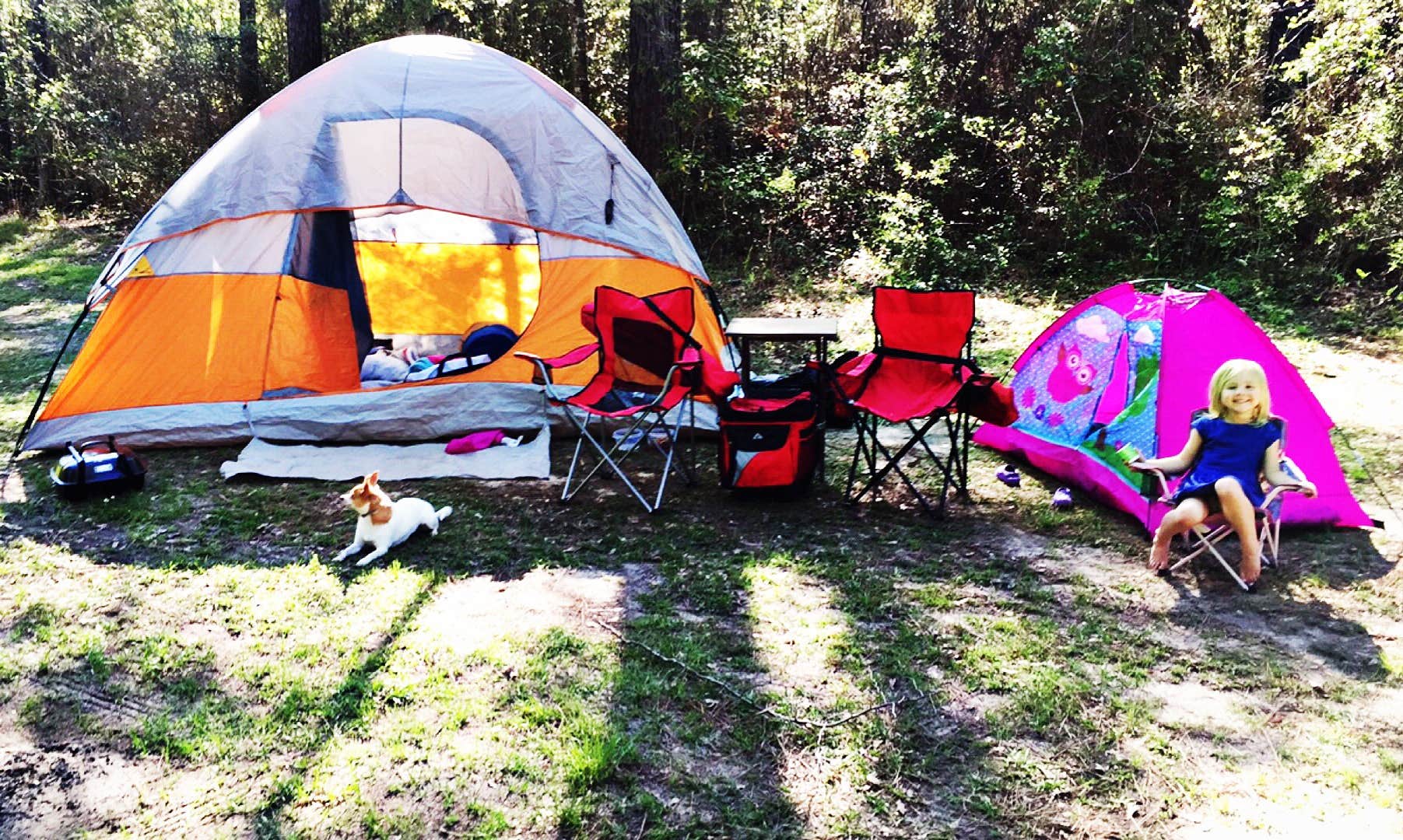 Michelle F.'s photo at Paul B. Johnson State Park Campground near Ovett, MS