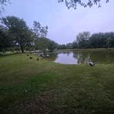 Review photo of Winner's Circle RV Resort by Christine M., August 22, 2026
