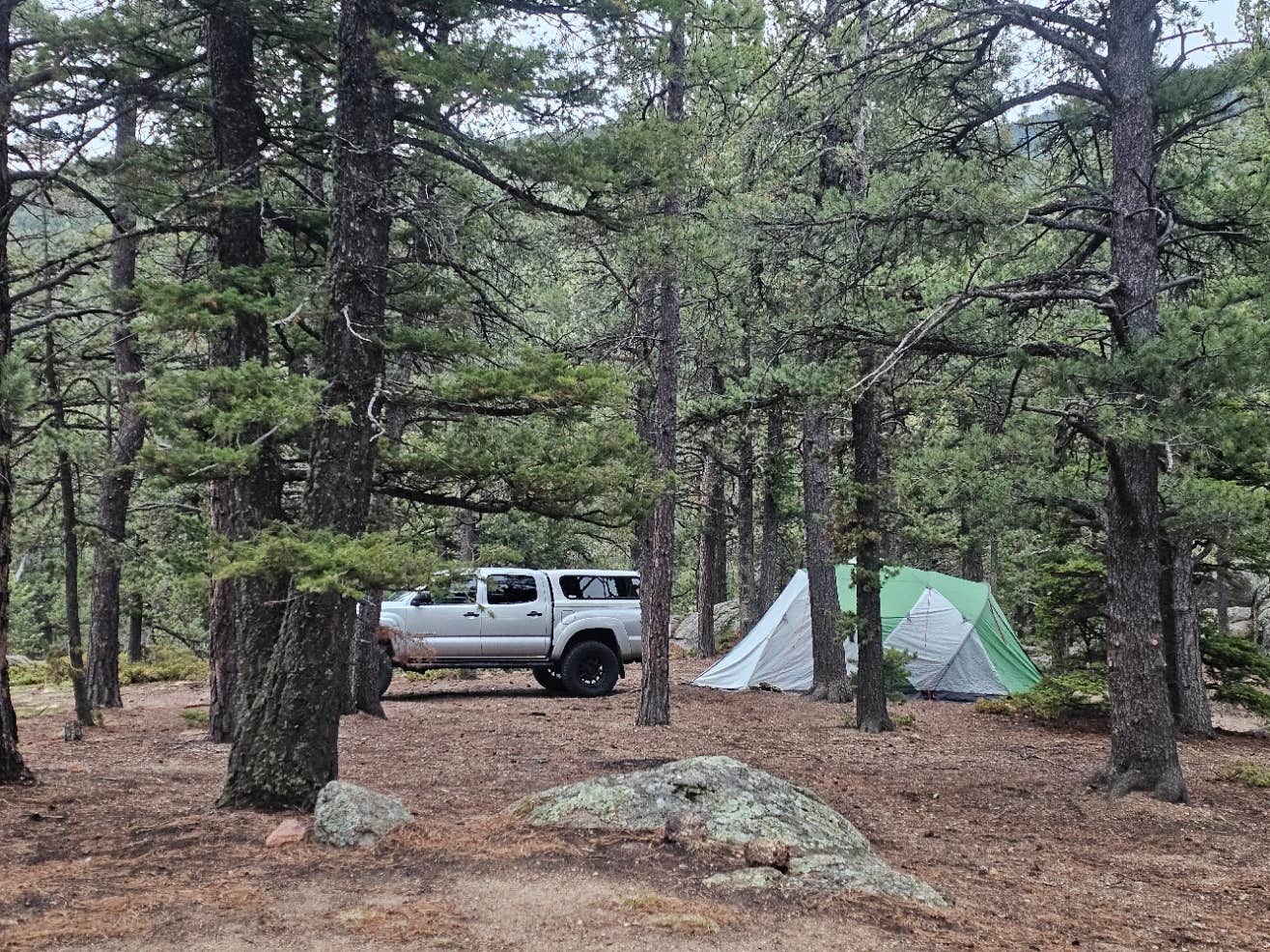 Camper-submitted photo at Ophir Creek Road near Beulah, CO