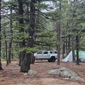 Review photo of Ophir Creek Road by Trish M., August 23, 2026