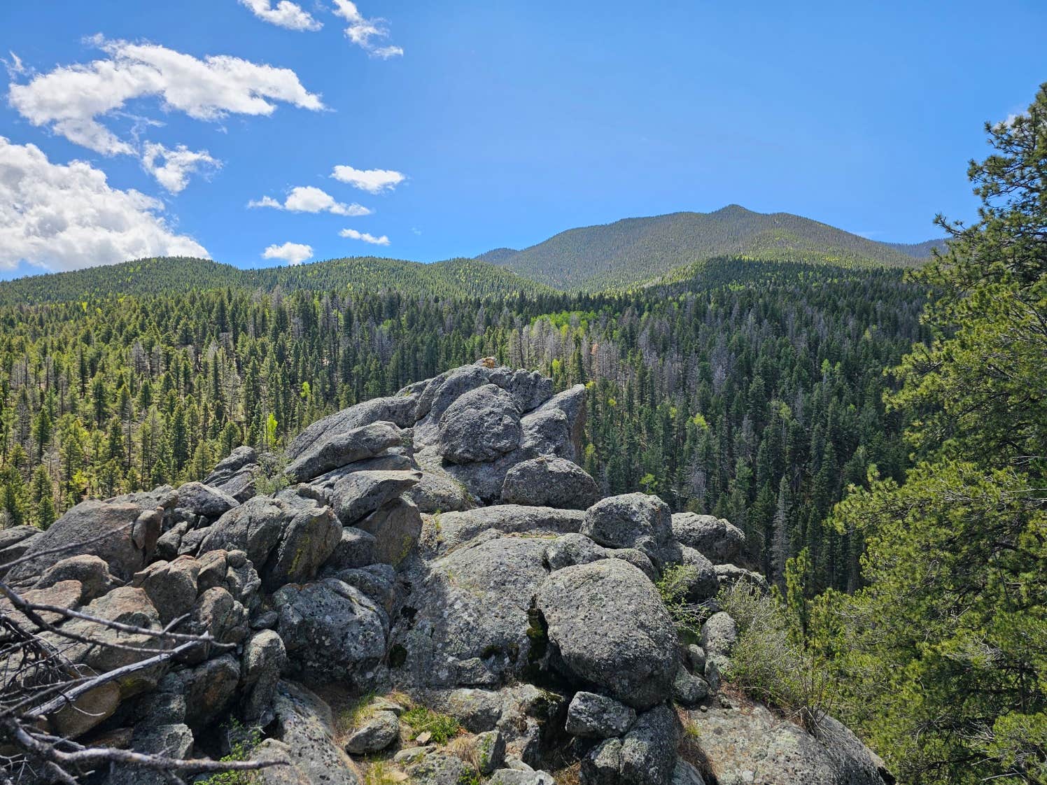 Camper-submitted photo at Ophir Creek Road near Beulah, CO