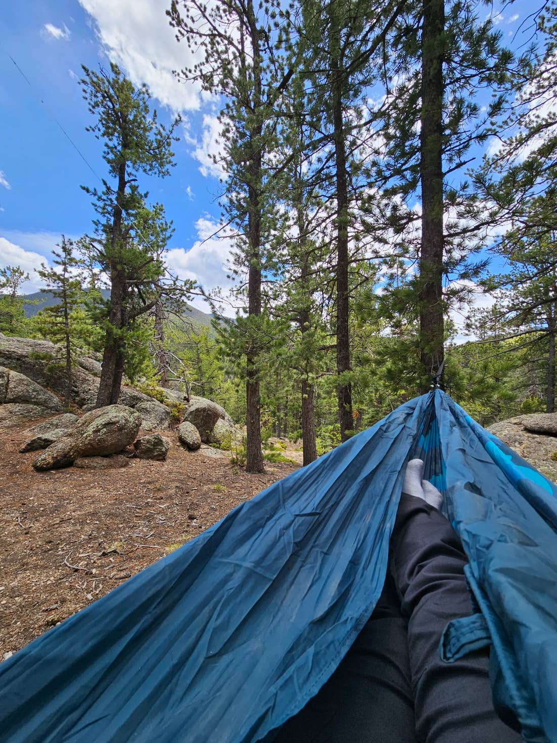 Camper-submitted photo at Ophir Creek Road near Beulah, CO