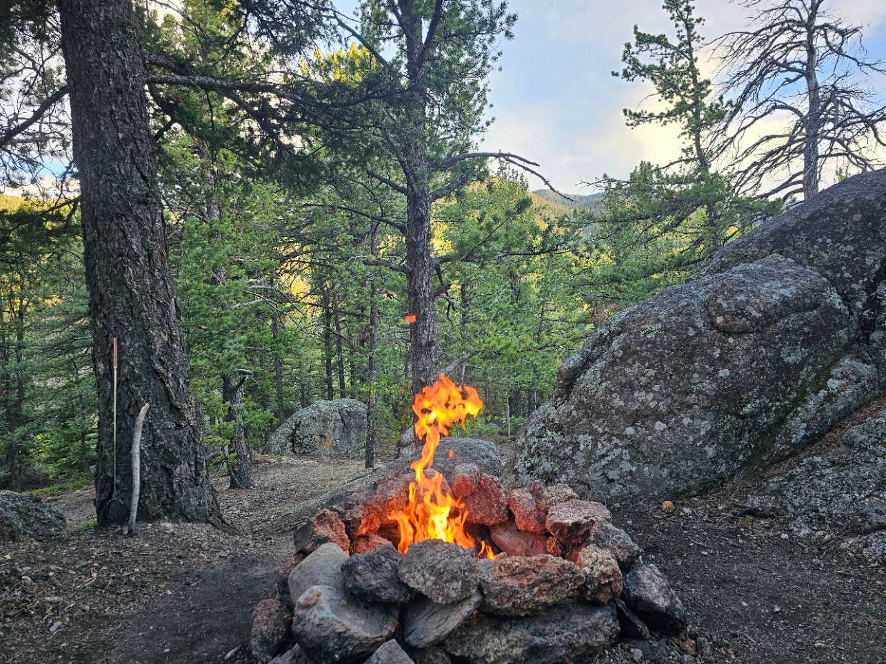 Camper-submitted photo at Ophir Creek Road near Beulah, CO