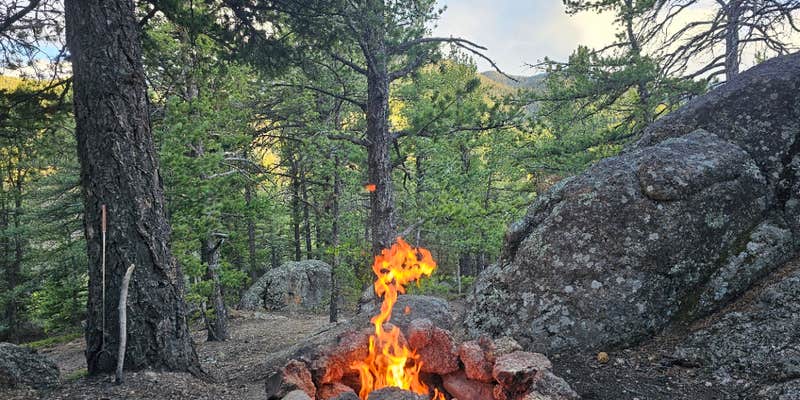 Camper submitted image from Ophir Creek Road