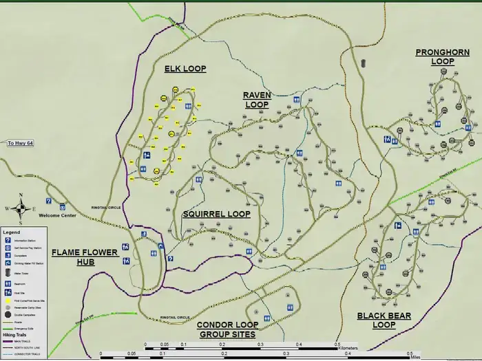 Camping near Kaibab National Forest: Tusayan-Montane — Grand Canyon National Park, Grand Canyon, Arizona