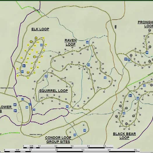 Tusayan-Montane — Grand Canyon National Park