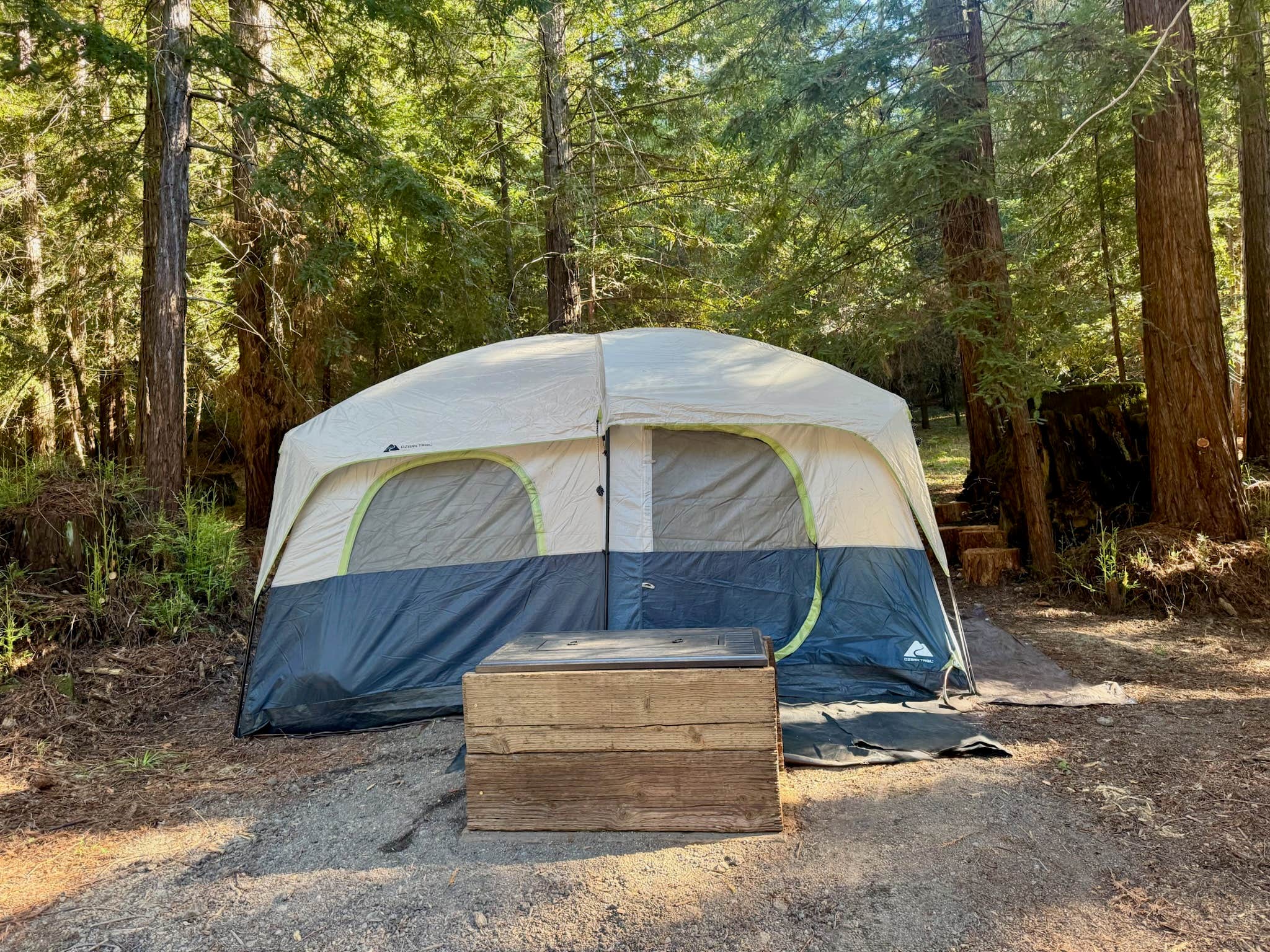 Terry S.'s photo at Under the redwoods near Ben Lomond, CA