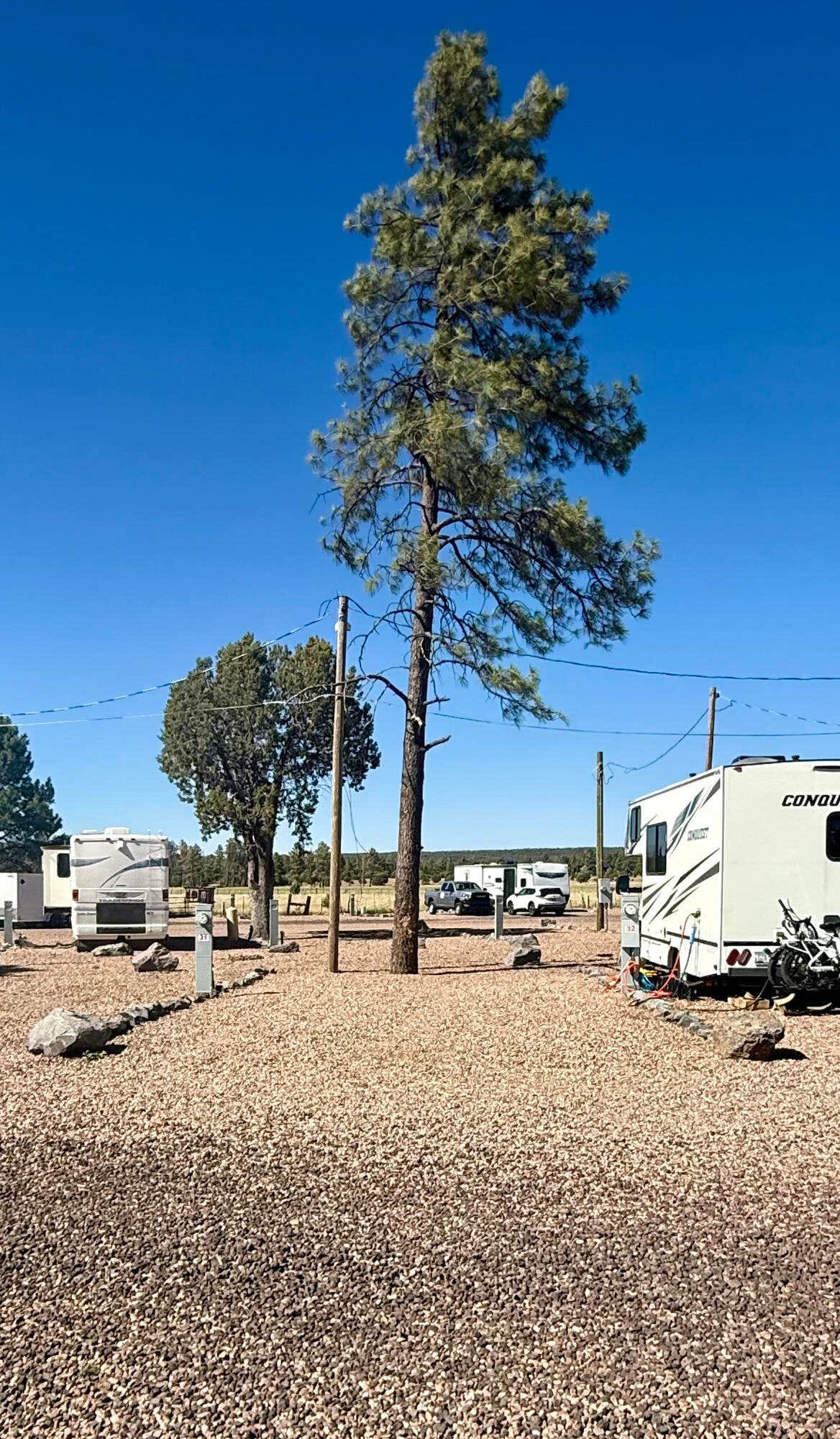The Dyrt's photo of rv camping at Paradise RV & MHC near Springerville, AZ