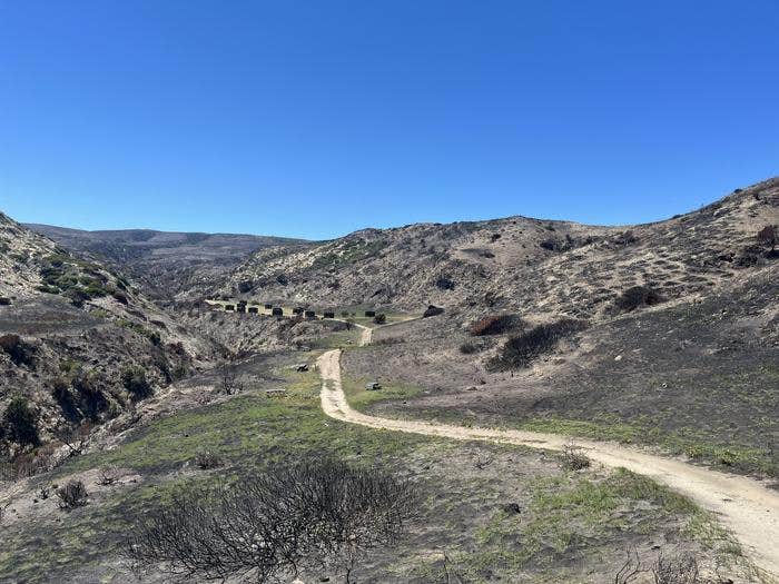 Camper-submitted photo at Santa Rosa Island Campground — Channel Islands National Park near Channel Islands National Park