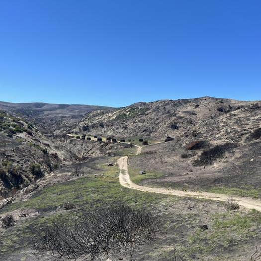 Santa Rosa Island Campground — Channel Islands National Park