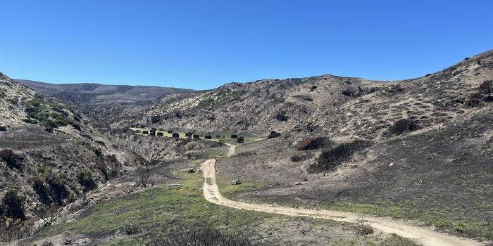 Camper submitted image from Santa Rosa Island Campground — Channel Islands National Park
