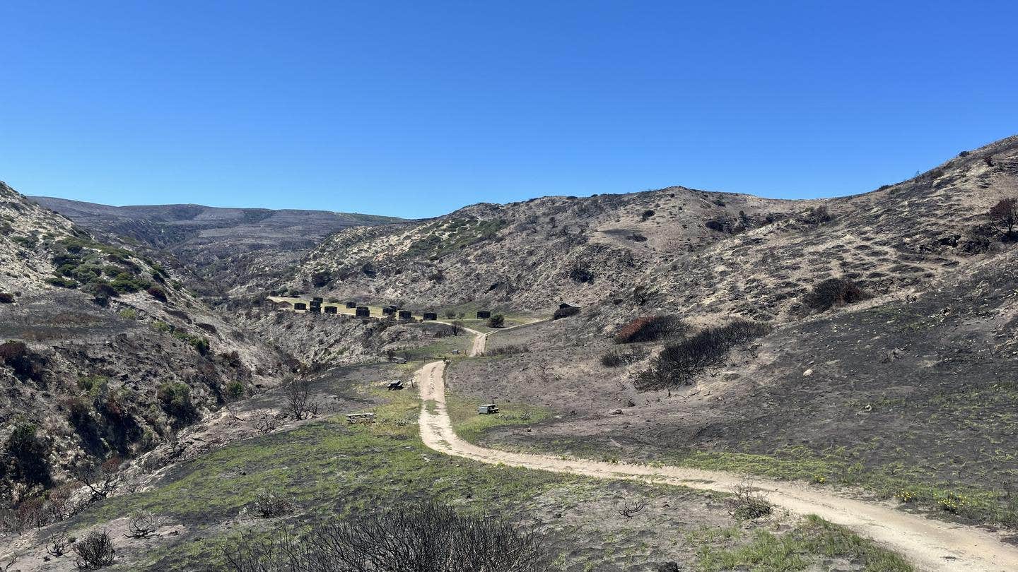 Camper-submitted photo at Santa Rosa Island Campground — Channel Islands National Park near Channel Islands National Park