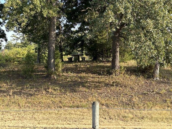 Camper-submitted photo at Hickory Creek - Lewisville Lake near Newark, TX