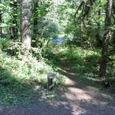Review photo of Panther Creek Campground by Bjorn S., January 5, 2015