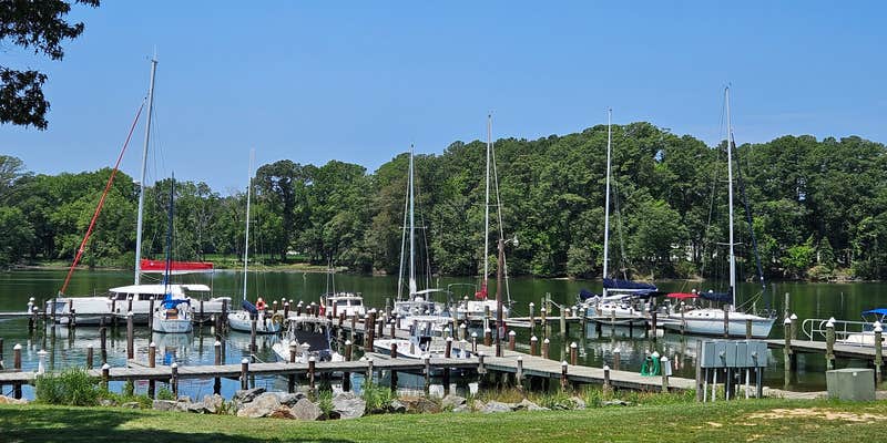 Camper submitted image from Dennis Point Marina & Campground