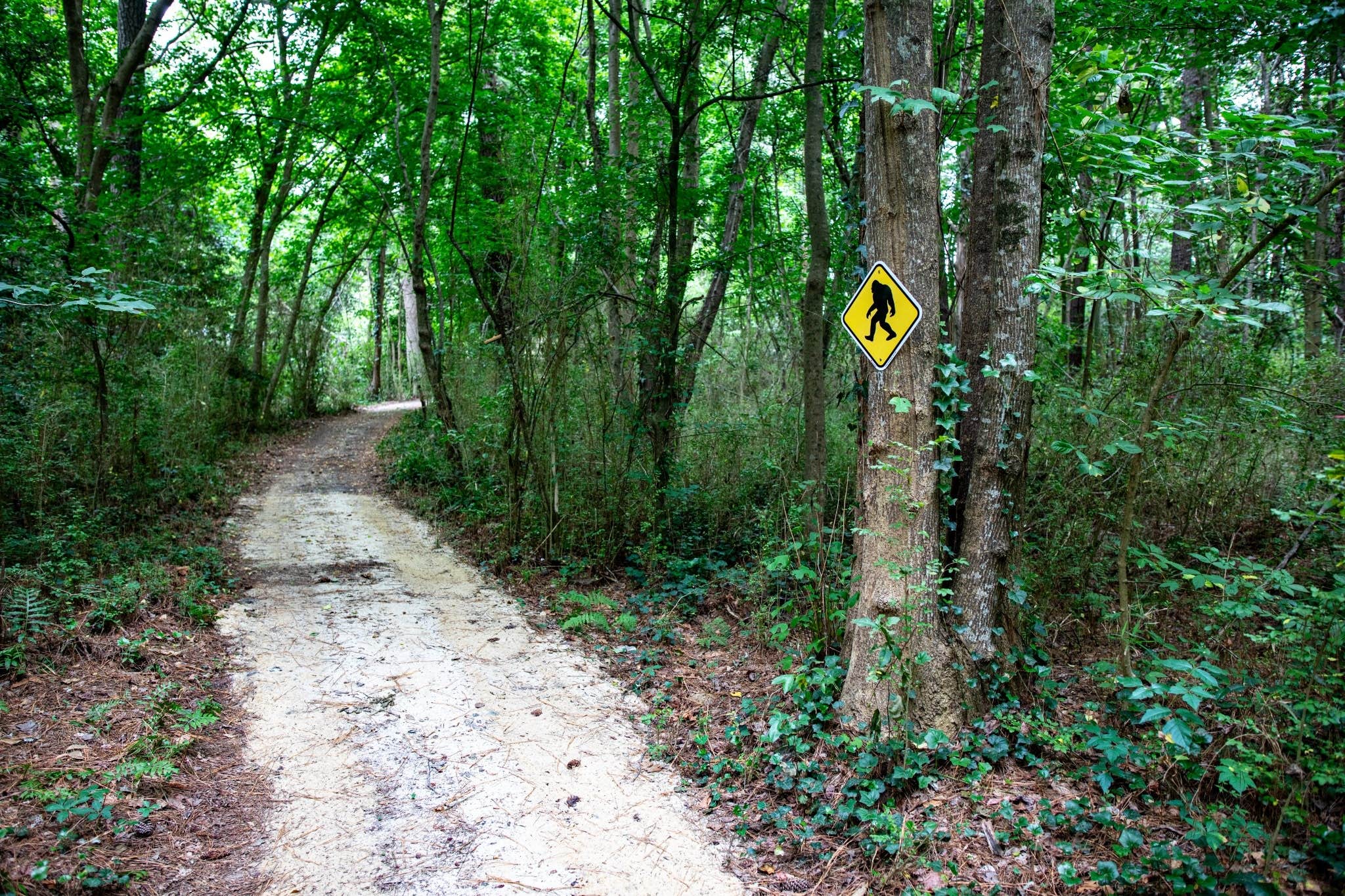 Camper-submitted photo at Green Acres Campground near Greenville, NC