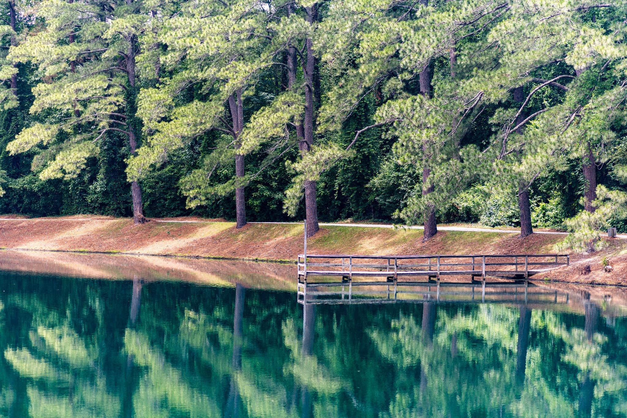 Camper-submitted photo at Green Acres Campground near Greenville, NC