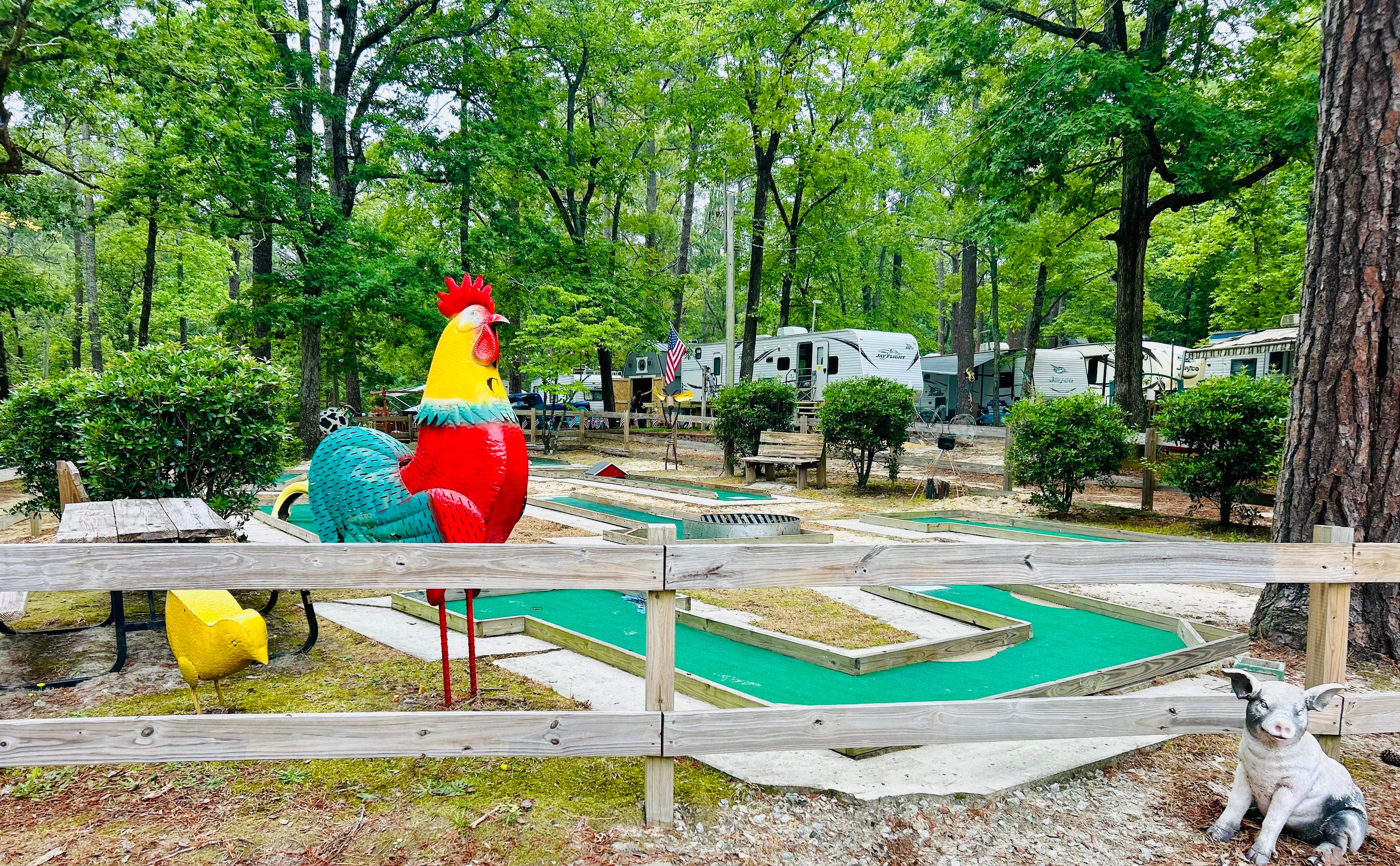 Camper-submitted photo at Green Acres Campground near Greenville, NC