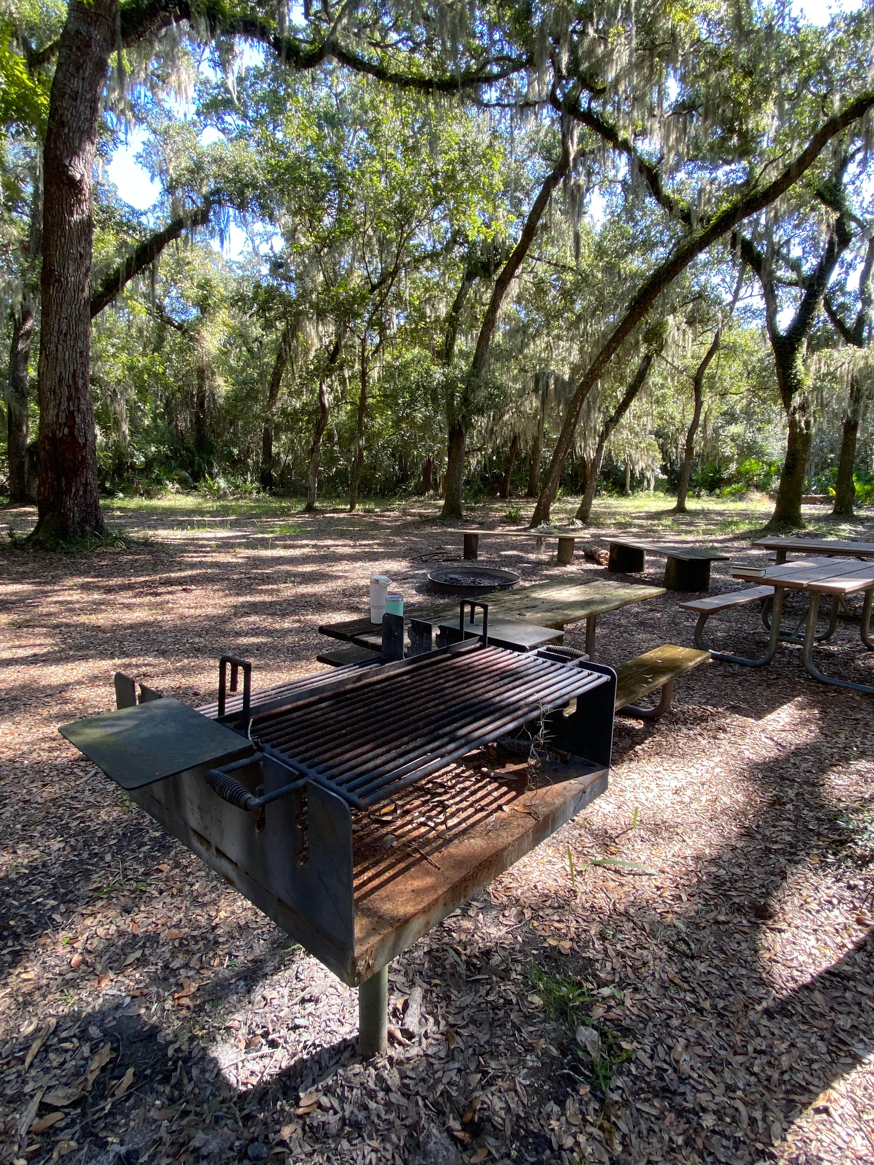 Camper-submitted photo at Matanzas State Forest Group Campground near Palm Coast, FL