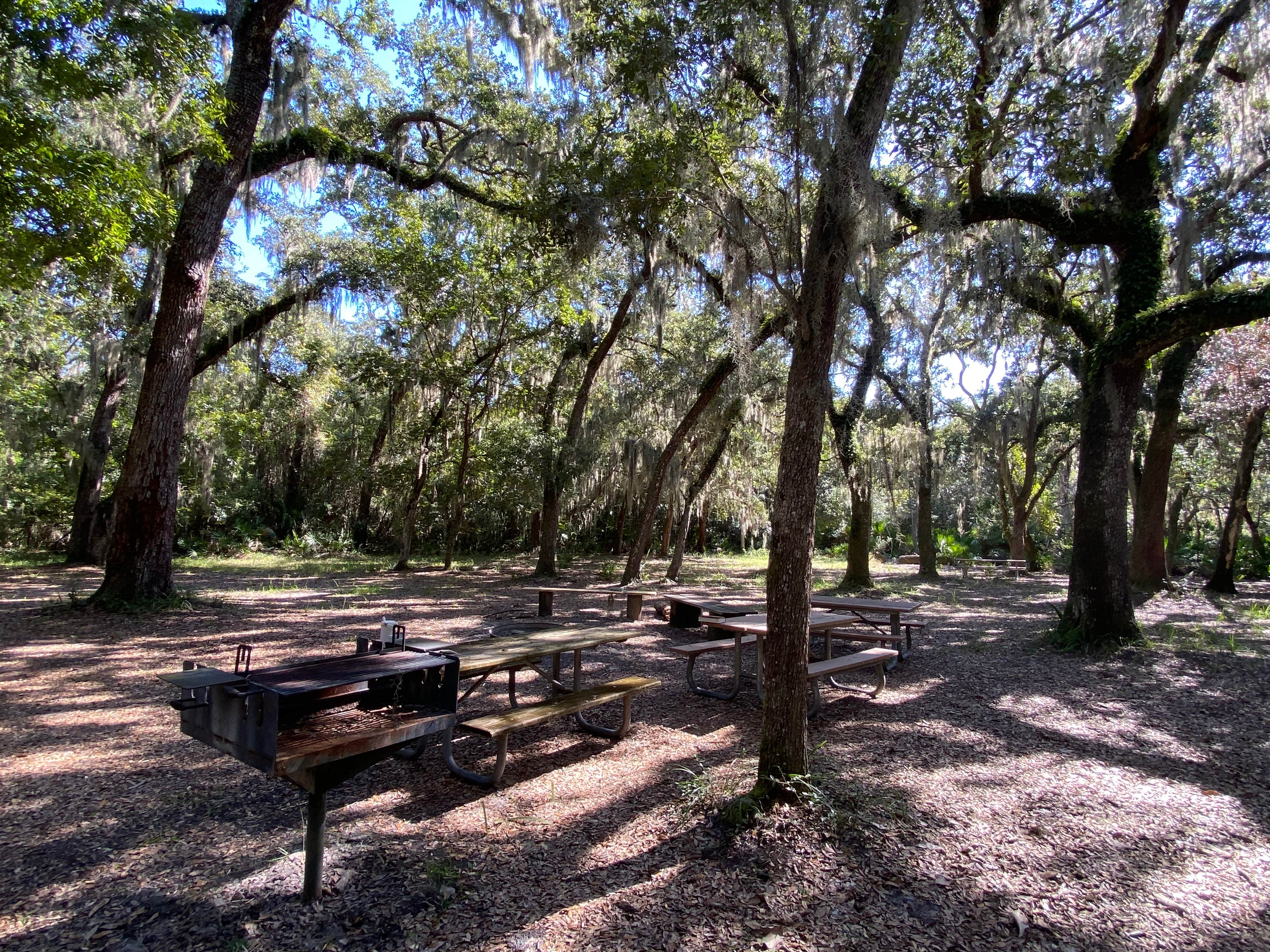 Camper-submitted photo at Matanzas State Forest Group Campground near Palm Coast, FL