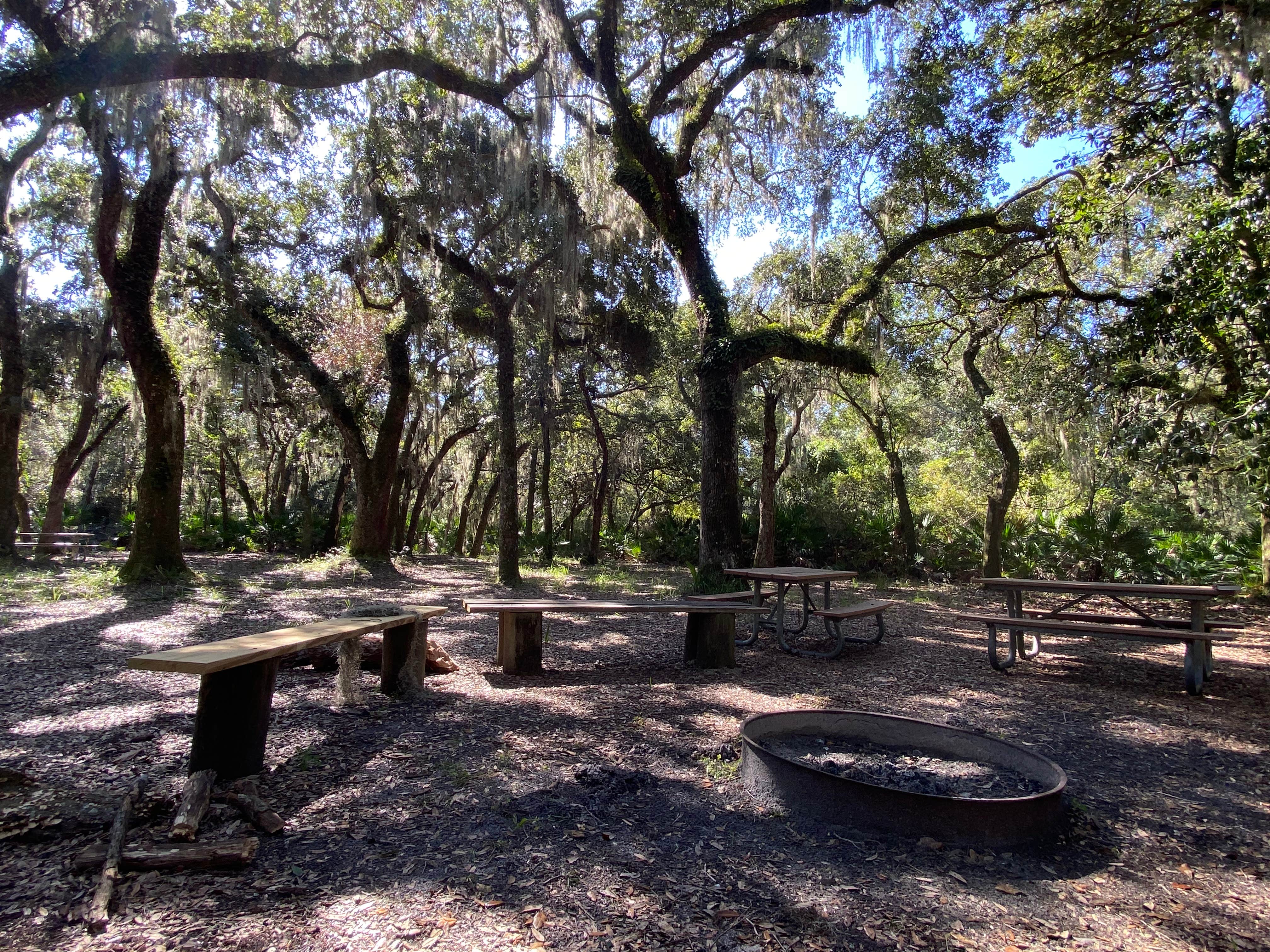 Camper-submitted photo at Matanzas State Forest Group Campground near Palm Coast, FL