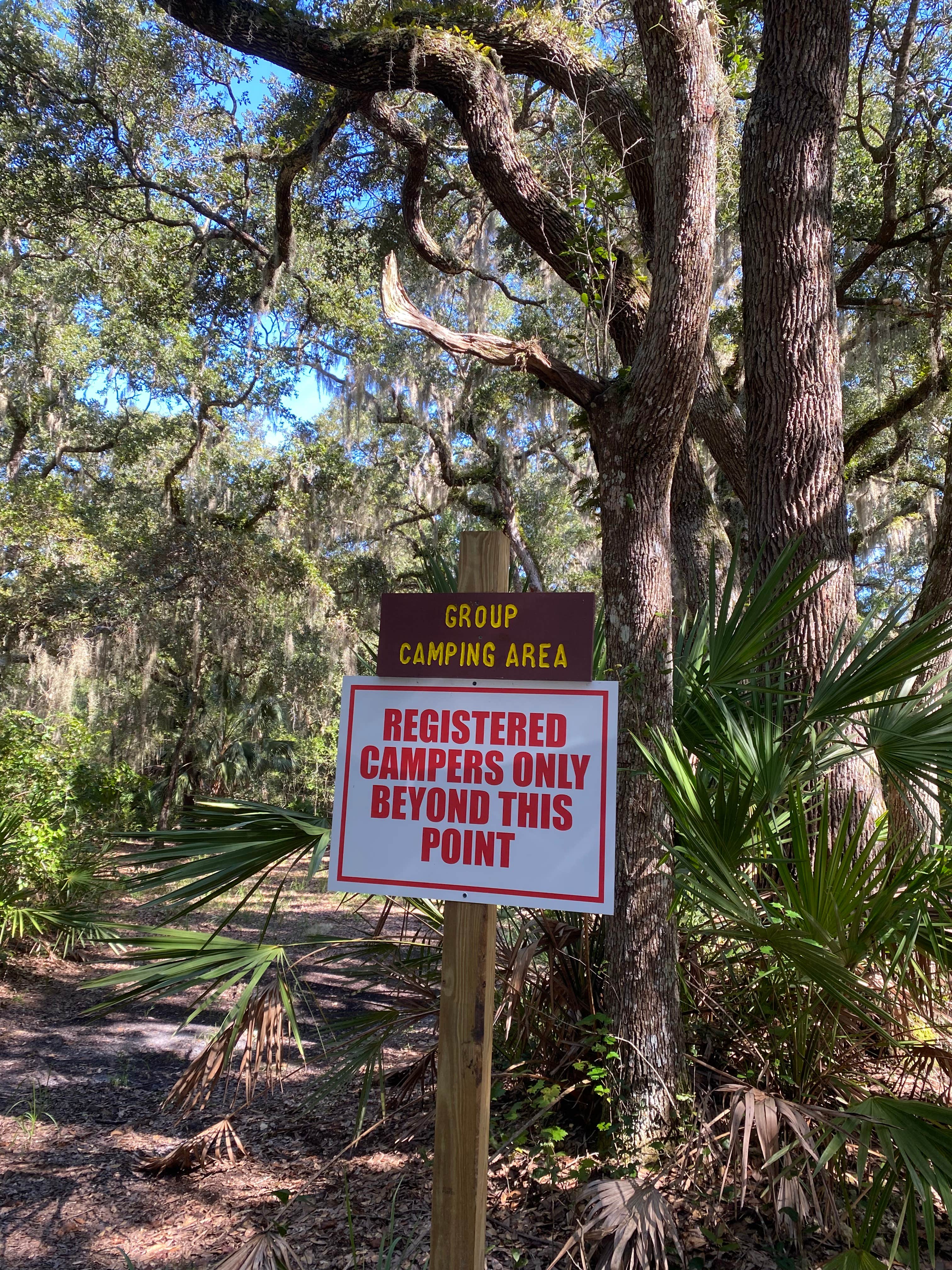 Camping near Faver-Dykes State Park Campground: Matanzas State Forest Group Campground, St. Augustine, Florida