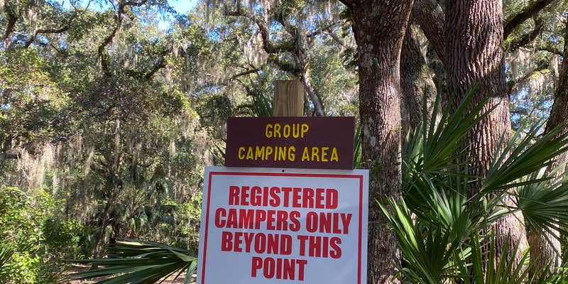 Camper submitted image from Matanzas State Forest Group Campground