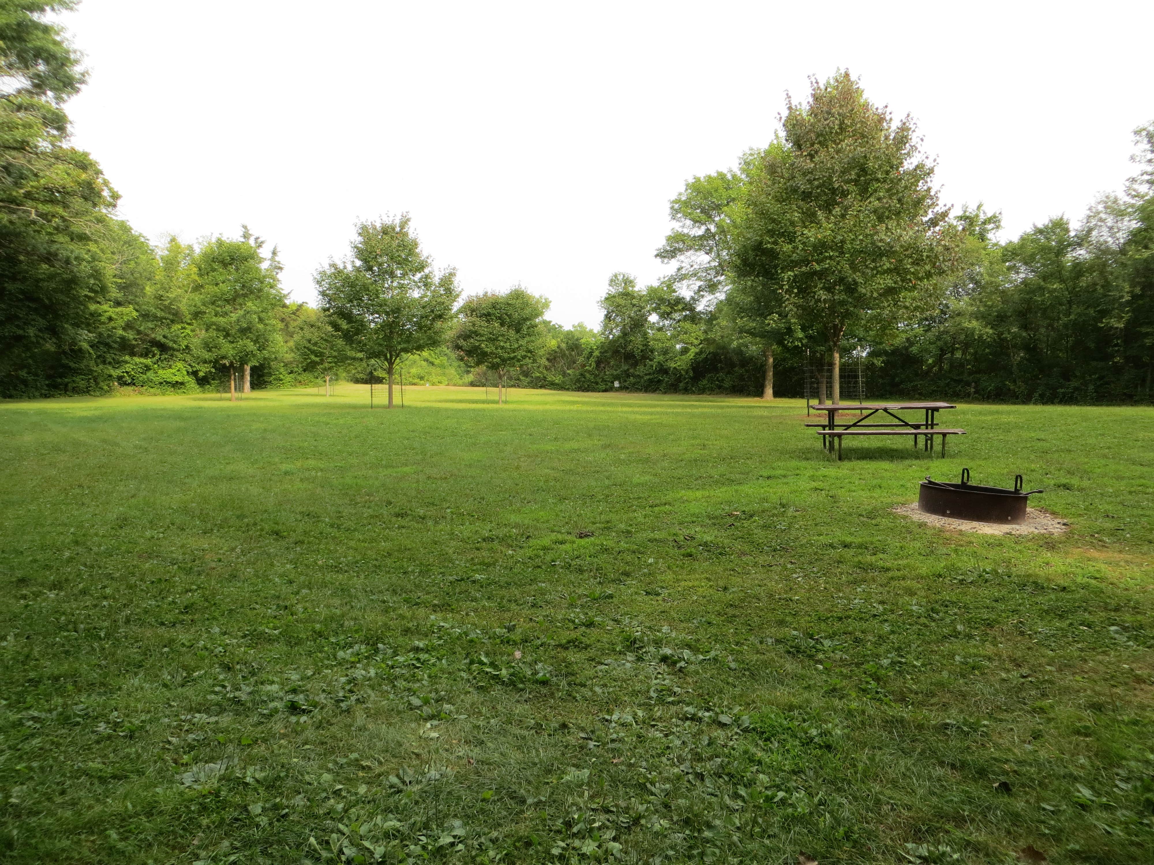 Camping near Oelwein City Park: Joy Springs County Park, Strawberry Point, Iowa