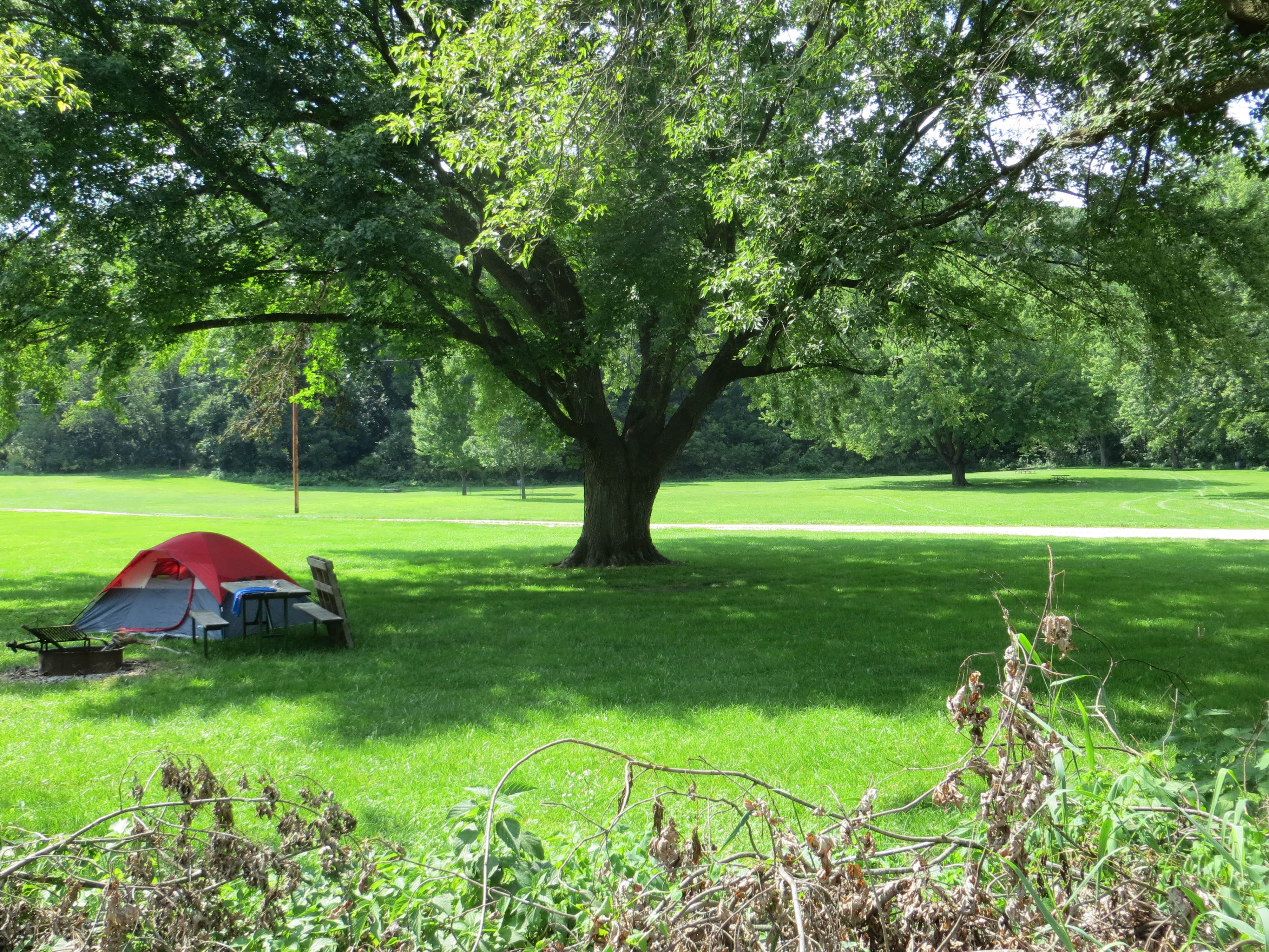Camper-submitted photo at Bloody Run County Park near Bagley, WI