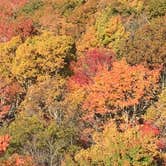 Review photo of Grandfather Mountain Campground by Bran P., September 30, 2016